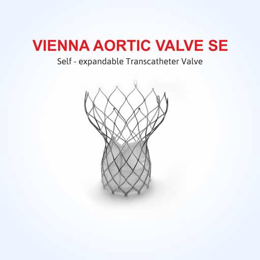 VEINNA-1024x1024.png