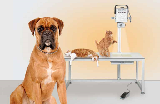 X-ray-table-Combivet-S2_768x500.jpg