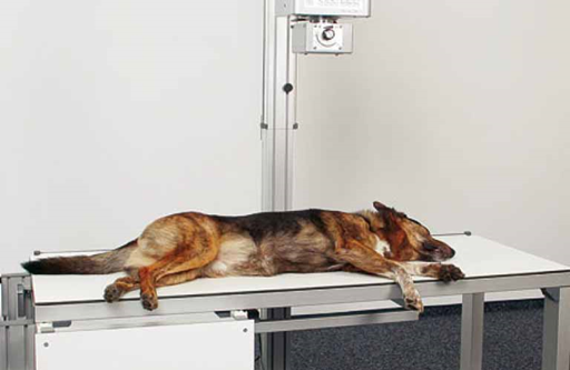 X-ray-table-Multivet_768x500.jpg