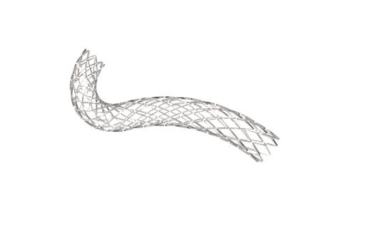 stent-phu-thuoc-sirolimus-m-sure-s-1.png