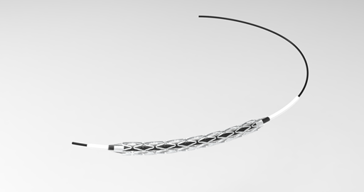 stent-phu-thuoc-sirolimus-m-sure-s-5.jpg