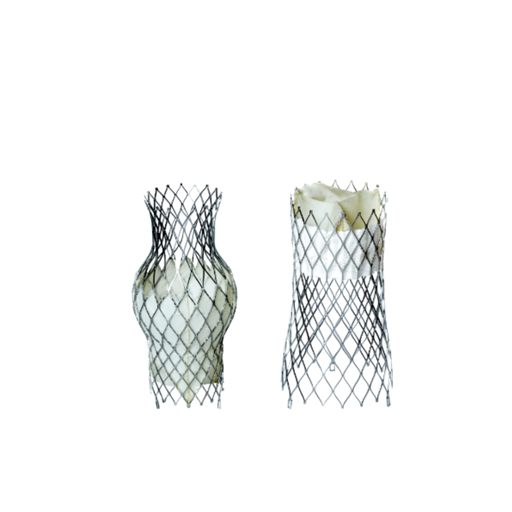Tricvalve(1).png