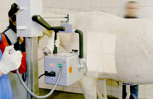 Veterinary-Medicine-Mobile-stands-wall-mounts-and-cassette-holders-2_768x500.jpg