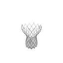 Tricvalve-1.png