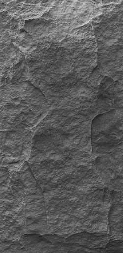 D11612(7).jpg