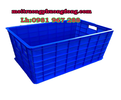 Ro-nhua-dac-4t5.jpg