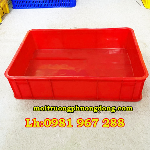 Ro-nhua-kin-thap(1).jpg