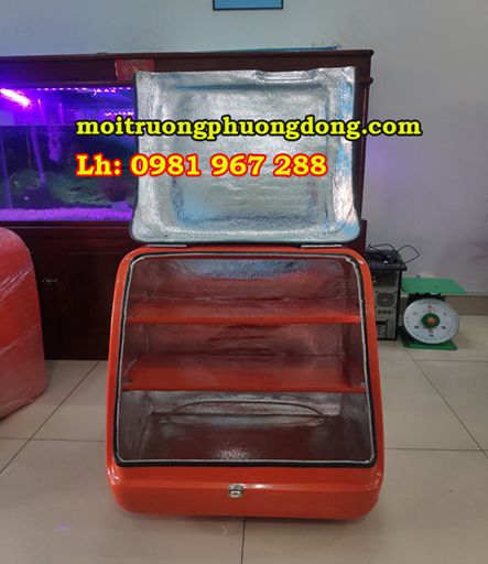 Thung-ship-hang-sau-xe-may-co-lon.jpg