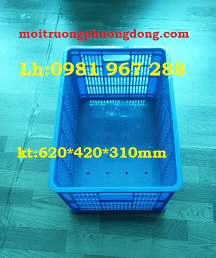 song-nhua-rong-HS004.jpg