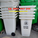Dai-chi-ban-thung-rac-240-L-y-te.jpg