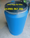Phuy-nhua-nap-kieng-160-l.jpg