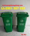 Thung-rac-mau-xanh-120-Lit.jpg